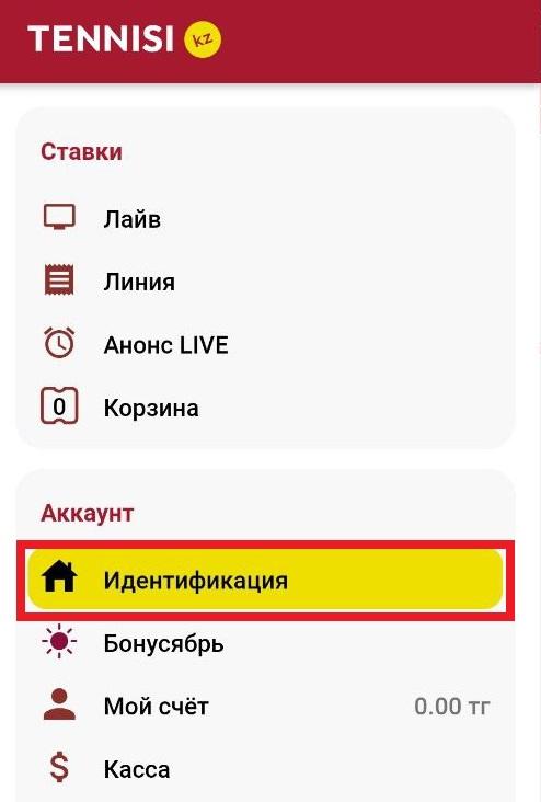 Раздел «Идентификация» в главном меню мобильного приложения